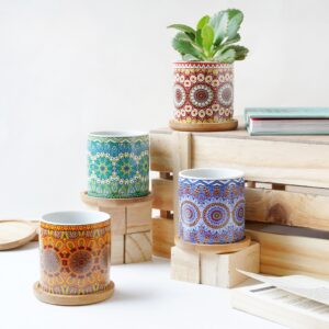 House Plant Pots