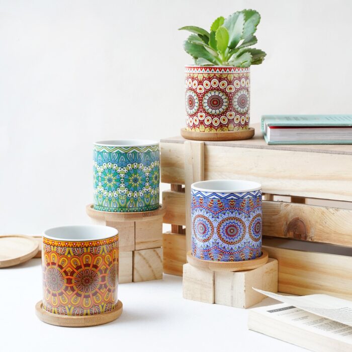 House Plant Pots